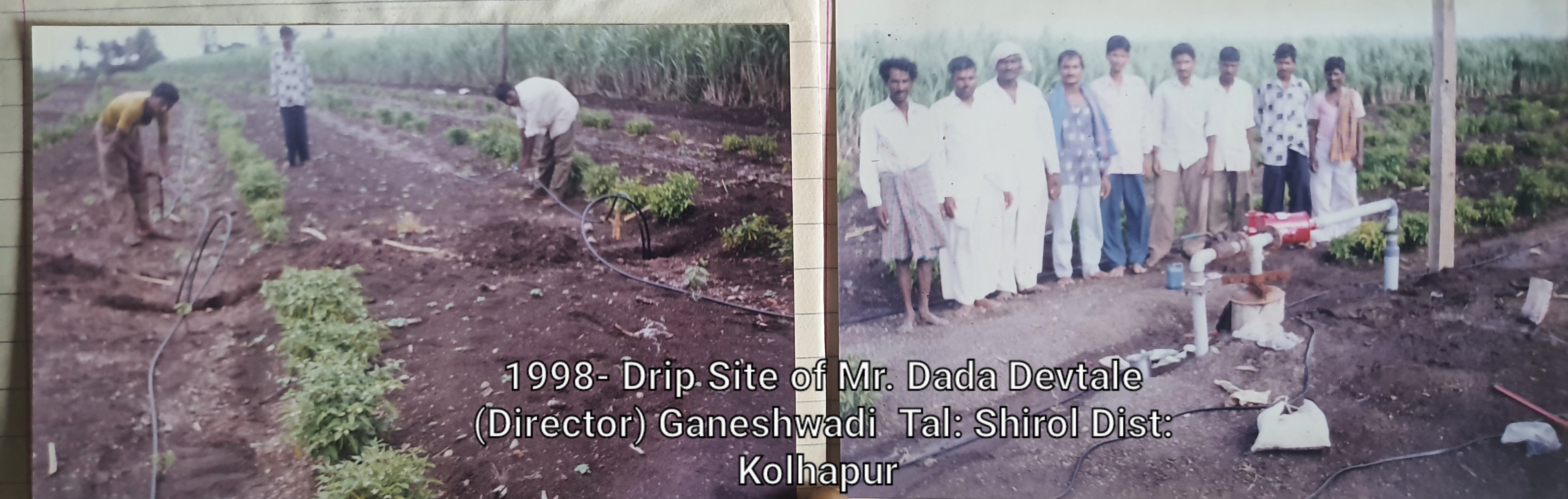 Drip Irrigation Services since 1990 project image 12